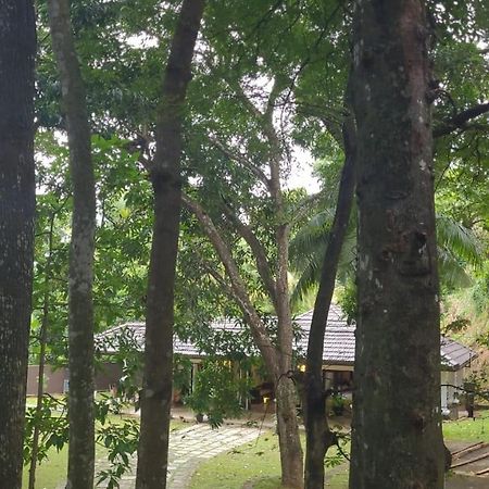 Villa D55 Канди Екстериор снимка