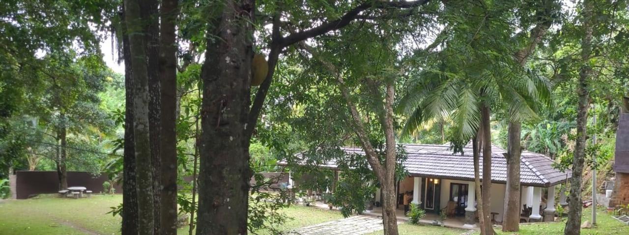 Villa D55 Канди Екстериор снимка